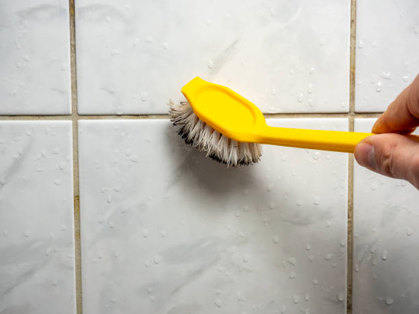 Best Certified Mold Removal  in Due West, SC