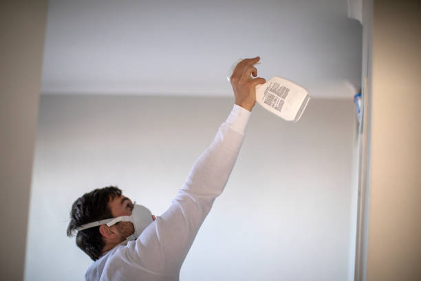 Mold Removal and Inspection in Due West, SC