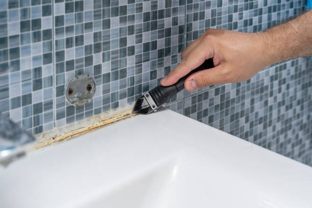 Best Fast Mold Removal  in Due West, SC
