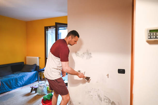 Best Home Mold Removal  in Due West, SC